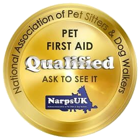 Certified in pet first aid to handle any situation.